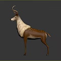 Brown And White Spotted Deer With Large Antlers Standing On Gray Background