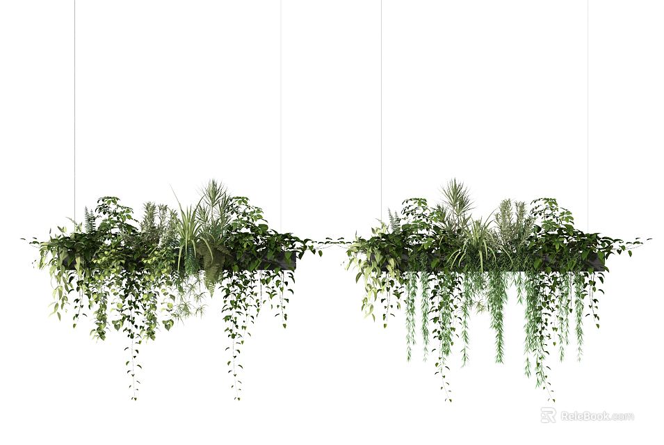 Hanging Basket Plants With Lush Greenery And Trailing Leaves For Indoor Decoration 3d model 