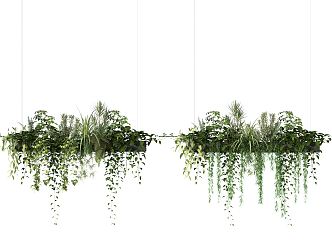 modern hanging basket hanging basket plant 3d model