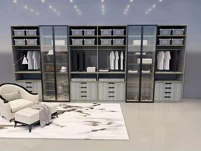 Modern Wardrobe Interior With Glass Doors Shelves Drawers And Hanging Clothes 3d model