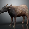 Realistic 3D Model of Bull With Brown Black Fur Standing on Gray Background