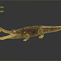 Realistic 3D Crocodile Model with Open Mouth and Brown Skin Texture on Gray Background