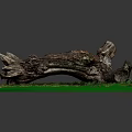 Rustic Natural Wooden Log On Green Mossy Grass Decorative Base