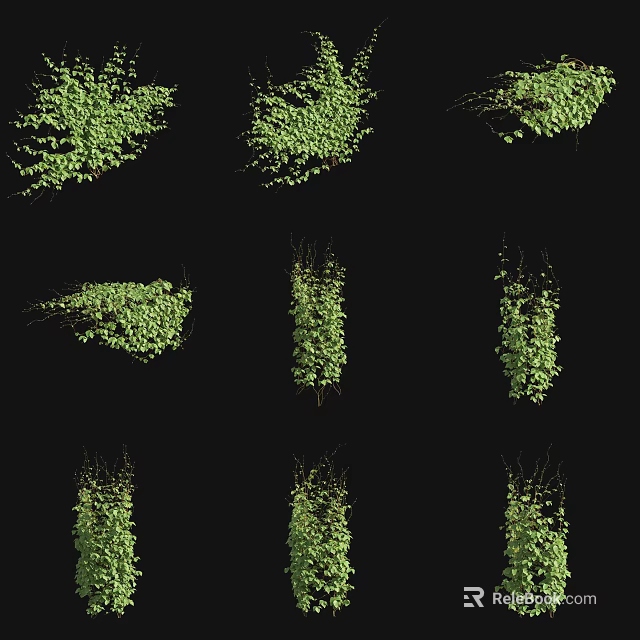 Decorative Lush Green Vines With Various Growth Shapes And Fresh Leaves 3d model 