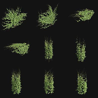 Decorative Lush Green Vines With Various Growth Shapes And Fresh Leaves 3d model