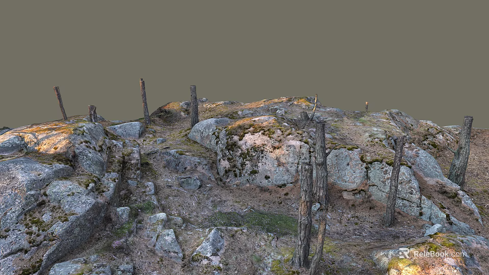 Natural Wood and Stone Scene with Dead Tree Trunks Moss Gravel and Grass 3d model 