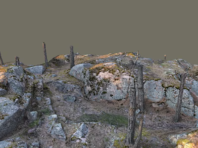 Natural Wood and Stone Scene with Dead Tree Trunks Moss Gravel and Grass 3d model