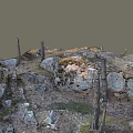 Natural Wood and Stone Scene with Dead Tree Trunks Moss Gravel and Grass