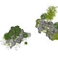 Rockery Stones Landscape With Palm Like Plants Bamboo Small Green Plants Pebbles And Grass