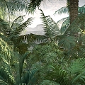 modern forest tropical plant forest 3d model