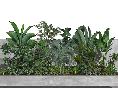 Lush Green Plant Wall Featuring Various Tropical Plants And Diverse Foliage Types 3d model