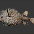 Aquatic Pufferfish With Spiky Exterior And Prominent Eyes On Reflective Surface