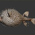 Modern thorn dolphin puffer fish marine animal fish 3d model