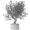 Decorative Olive Tree Ornament With Bent Trunk Green Leaves In White Planter