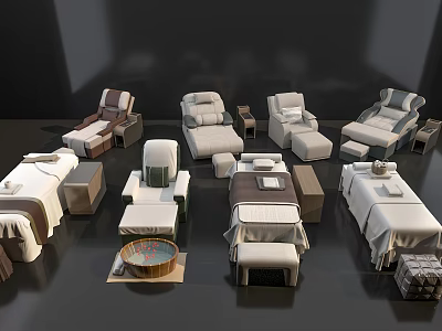 Professional Massage and Foot Therapy Equipment With Comfortable Beds and Chairs 3d model