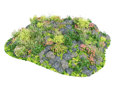 Colorful Garden Flowers and Lush Green Plants with Stones in Small Landscape Design 3d model