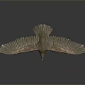 Flying Eagle With Spread Wings And Yellow Talons In Gray Background With Reflection 3d model