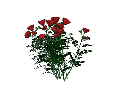 Blooming Red Roses With Fresh Green Leaves And Stems In Garden 3d model