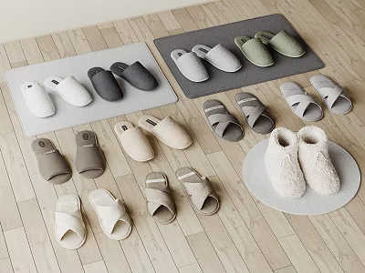Assorted Slippers In Neutral Tones And Cozy Styles On Wooden Floor 3d model