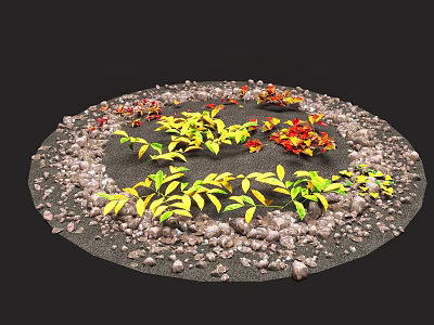 Vibrant Plant Leaves In Circular Area With Small Stones And Black Ground 3d model