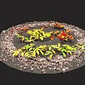 Vibrant Plant Leaves In Circular Area With Small Stones And Black Ground