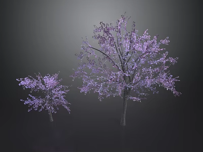 Two Beautiful Plum Trees With Purple Blossoms Against Dark Background 3d model