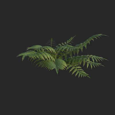 Modern Golden Hair Dog Fern 3d model