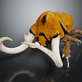 Orange And Black Beetle With Large White Curved Horns On Dark Background