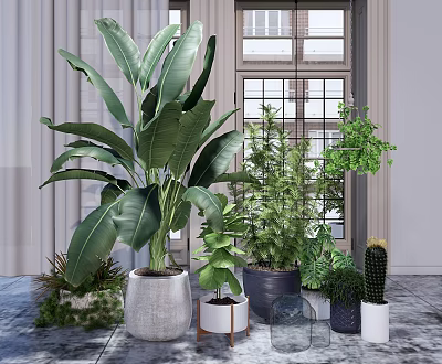 Indoor Potted Plants Various Types With Green Leaves In Different Pots For Home Decor 3d model