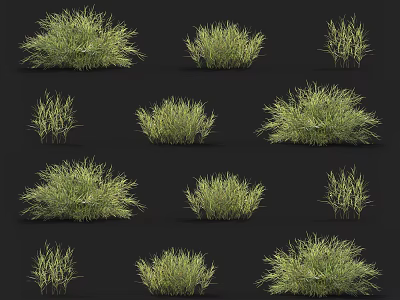 Various Green Grass Clumps in Different Shapes and Sizes on Black Background 3d model