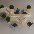 Modular Light Wooden Office Desks with Black Chairs Green Plants and Computers