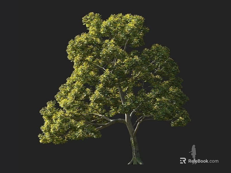 Tall Arbor With Lush Green And Yellowish Leaves And Human Figure For Scale 3d model 