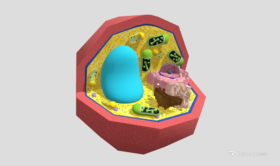 Detailed Eukaryotic Cell Structure With Blue Nucleus Organelles And Endoplasmic Reticulum 3d model 
