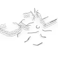 Wire Sculptor Creating Intricate Animal Creature With Metal Lines