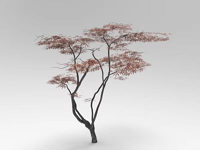 Arbor With Slender Branches Red Leaves And Black Trunk On Gray Background 3d model