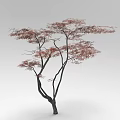 Arbor With Slender Branches Red Leaves And Black Trunk On Gray Background 3d model