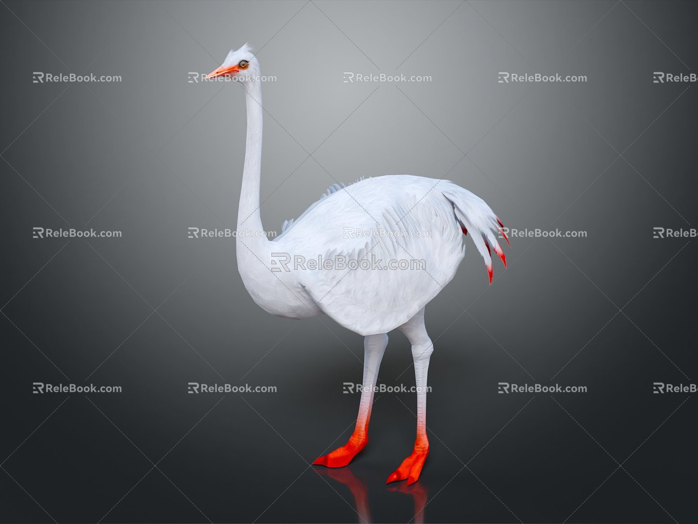 Modern Ostrich 3d model