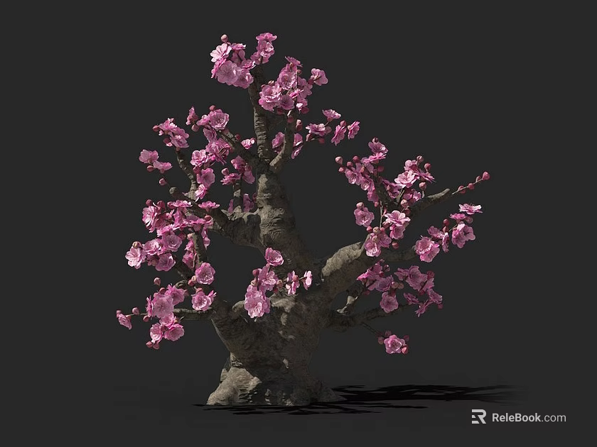 Exquisite Decorative Bonsai Plant With Blooming Pink Flowers And Thick Trunk 3d model 