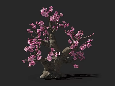 Exquisite Decorative Bonsai Plant With Blooming Pink Flowers And Thick Trunk 3d model