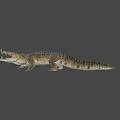 Game Movie Character Crocodile 3D Model With Open Mouth And Crawling Pose On Gray Background