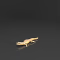 Realistic Golden Crocodile Model With Open Mouth And Shiny Scales On Black Surface