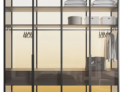 Modern Wardrobe Design With Glass Doors Hanging Rails Storage Boxes And Drawers 3d model
