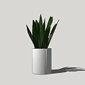 Stylish Potted Plant with Green Long Leaves in White Pot on Light Gray Background