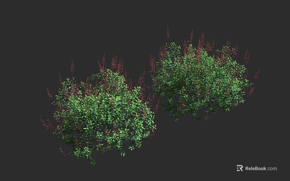 Green Shrubs With Red Flowers And Lush Foliage In Natural Garden 3d model 
