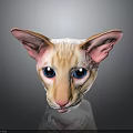 Sphynx Cat Head Close-Up With Large Ears Blue Eyes And Pink Nose Light-Colored Skin