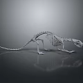 Detailed Small Animal Skeleton With Long Tail On Gray Reflective Surface