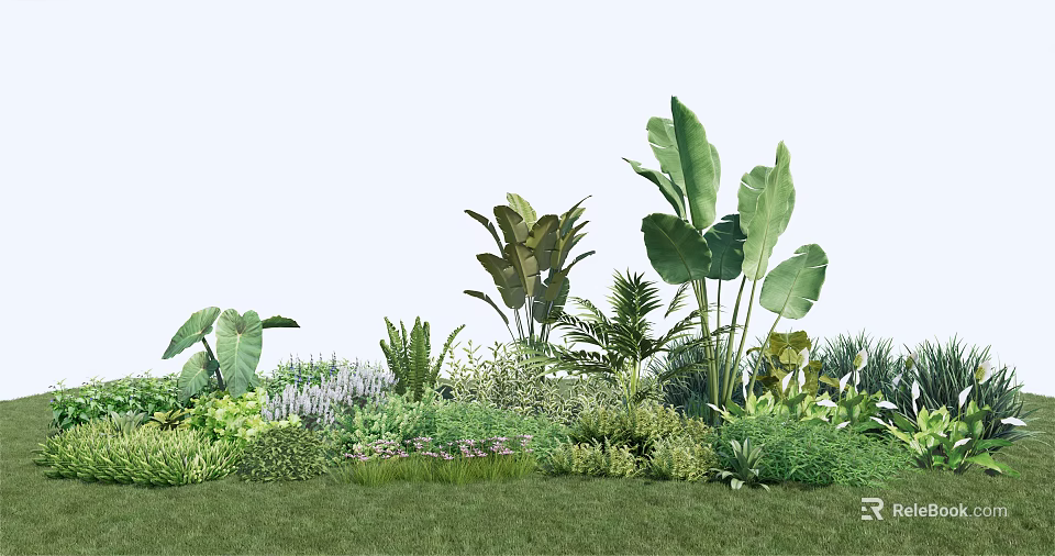Diverse Garden Plants With Tropical Foliage Lush Greenery And Grass 3d model 