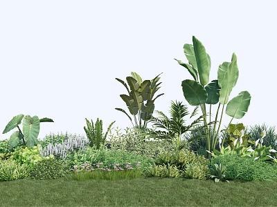 Diverse Garden Plants With Tropical Foliage Lush Greenery And Grass 3d model