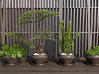 modern potted fern potted kidney fern moss 3d model