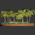 Cartoon Scene Circular Landscape With Green Trees Blue Stream Wooden Bridge And Stone Decorations